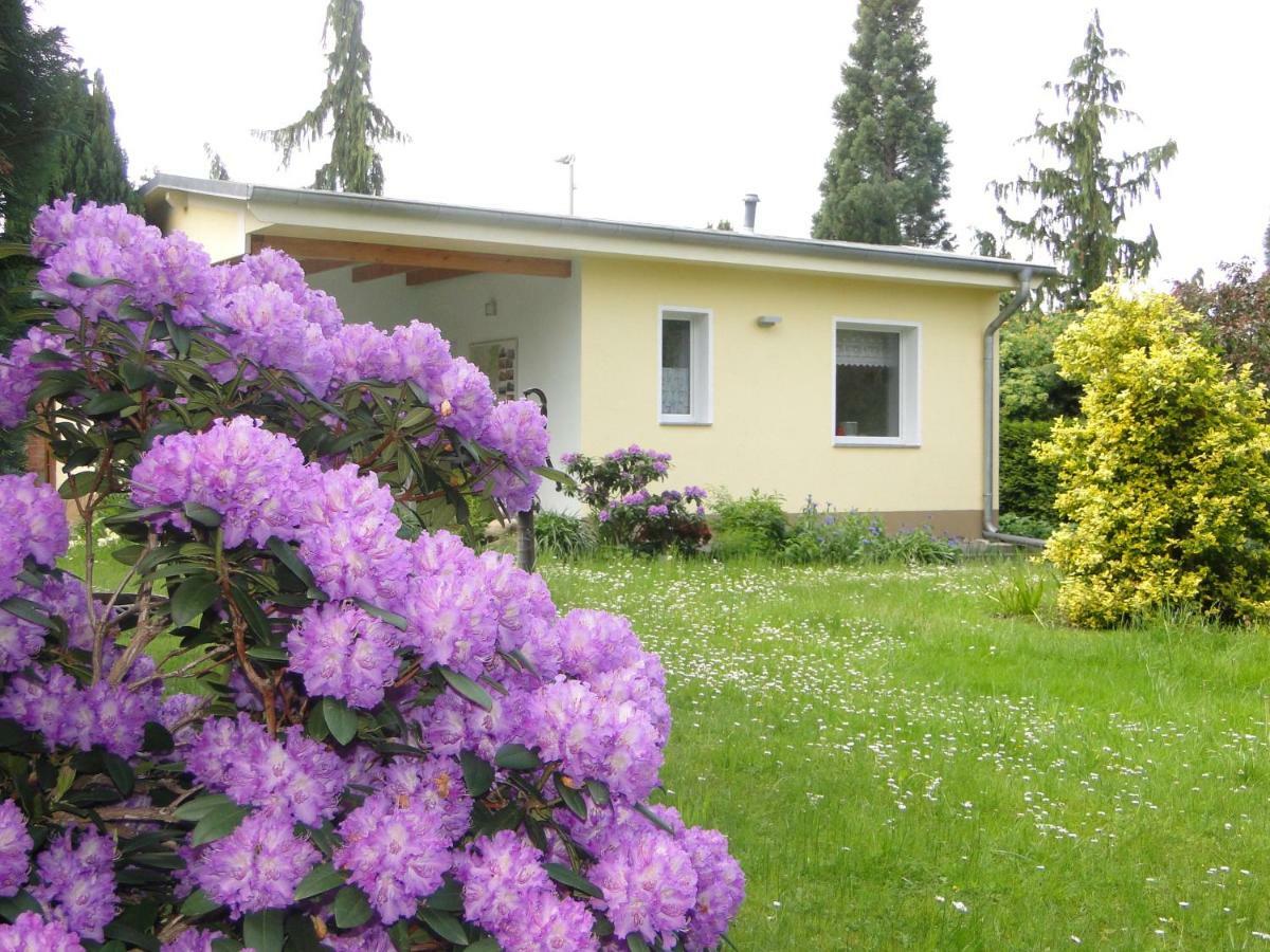 Sommerhaus Im Grunen Berlin Bagian luar foto